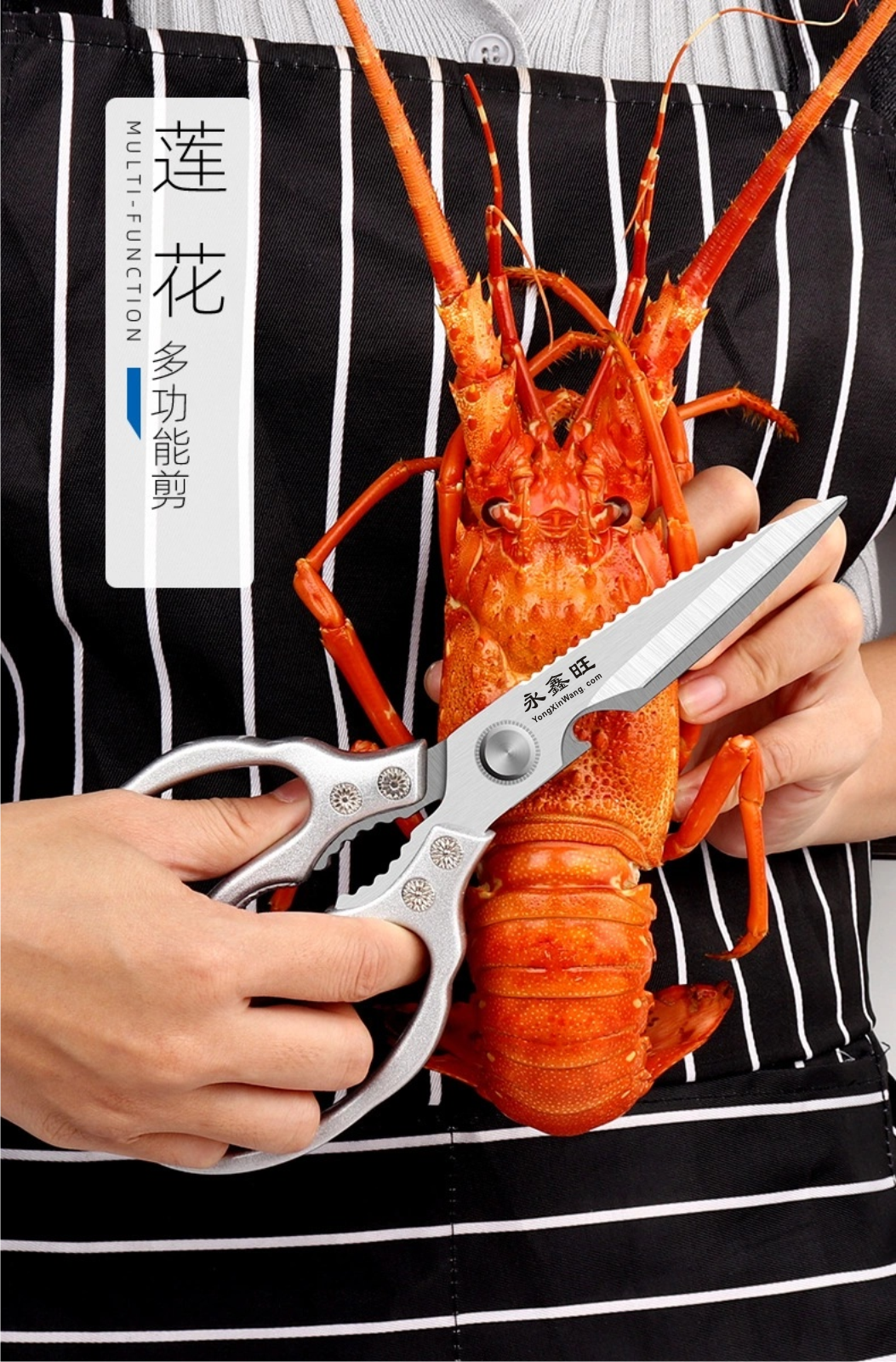 c52a949290cdd73d0ec949c55be17673671ac519.png